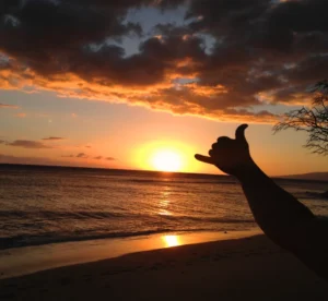 Hawaii Sunset